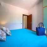 Daire Olimpo Capo Vaticano