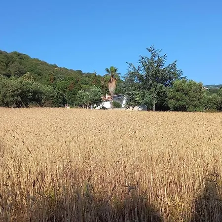 Olimpo * Capo Vaticano