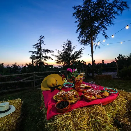 Olimpo Appartement Capo Vaticano