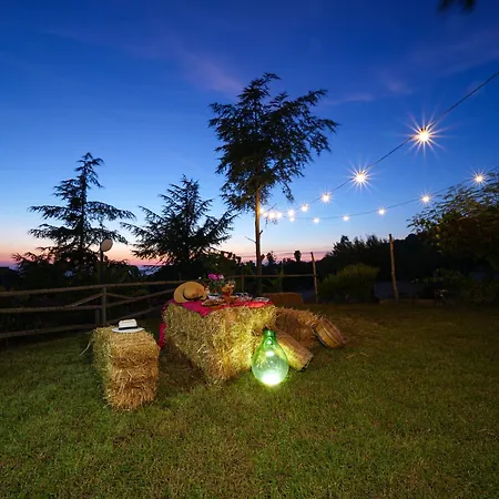 Olimpo Appartement Capo Vaticano