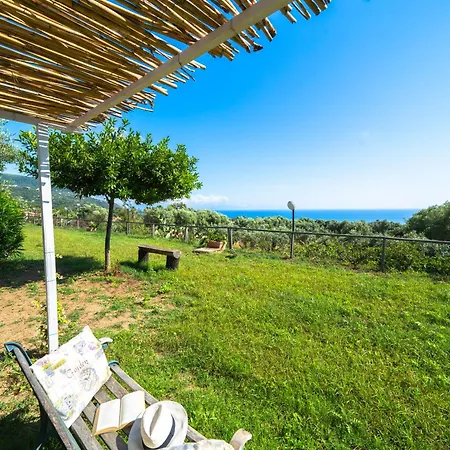 Olimpo Apartment