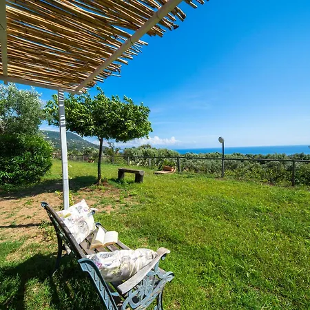 Olimpo Apartment