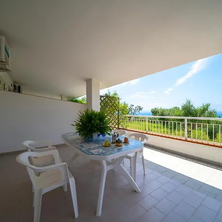Apartment Olimpo