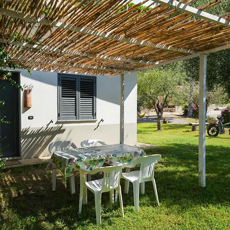 Apartamento Olimpo Capo Vaticano
