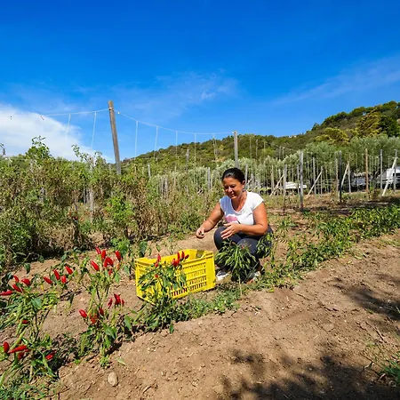 Olimpo Apartamento Capo Vaticano